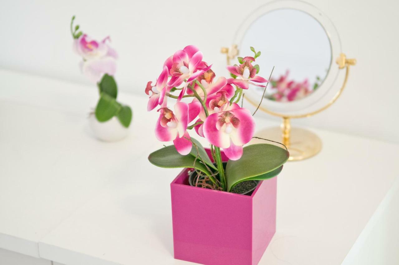 Loft Orchidee Leilighet Uberlingen Eksteriør bilde